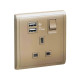 13A 1G Sw Socket with 2.1A USB ,WE ,WG